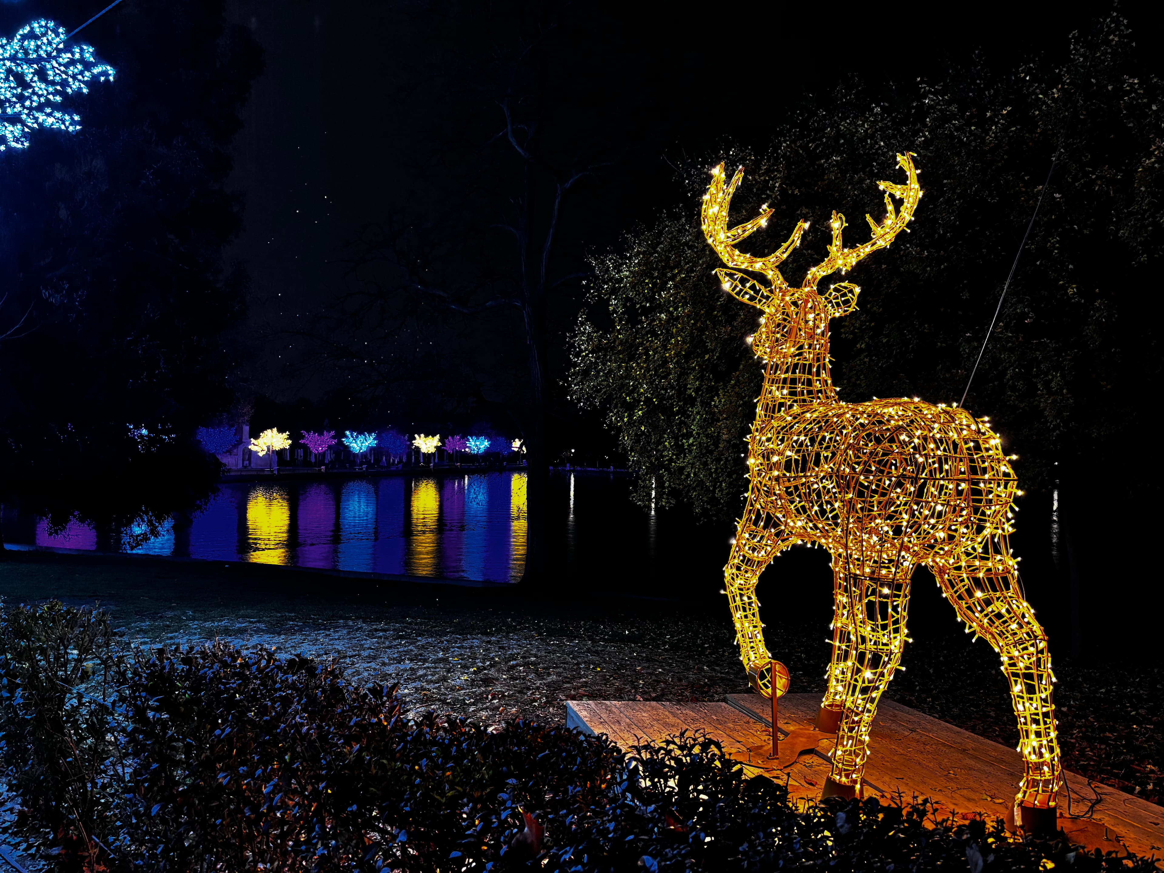 Las Luces de Navidad en el Retiro