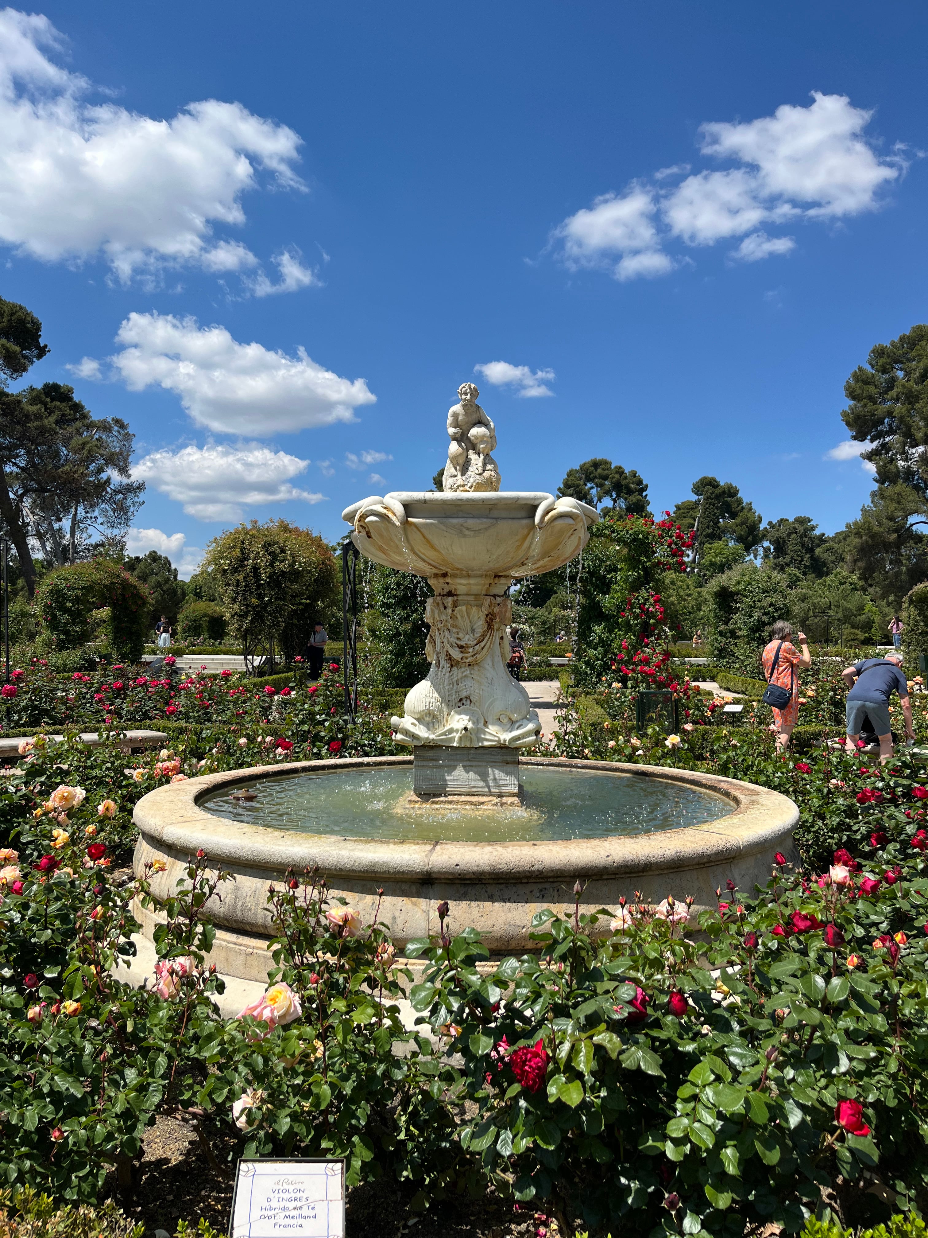 RETIRO GARDENS in Pl. de Honduras, Madrid — photo 5